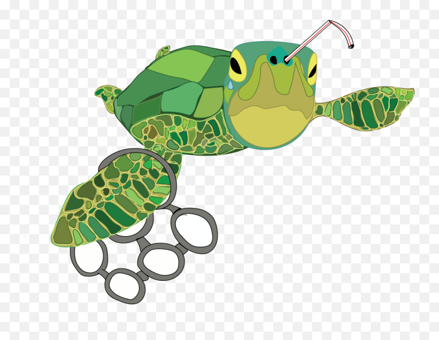 Sea Turtle Trivia - Turtle With Straw In Nose Drawing Emoji,Google Turtle Emoji