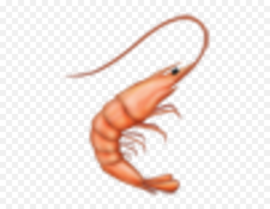 39 - Big Emoji,Shrimp Emoji