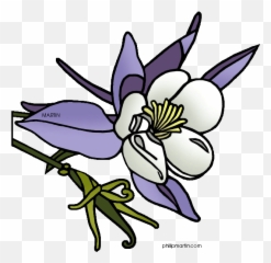 Pin - Colorado State Flower Drawing Emoji,Emojis Columbine