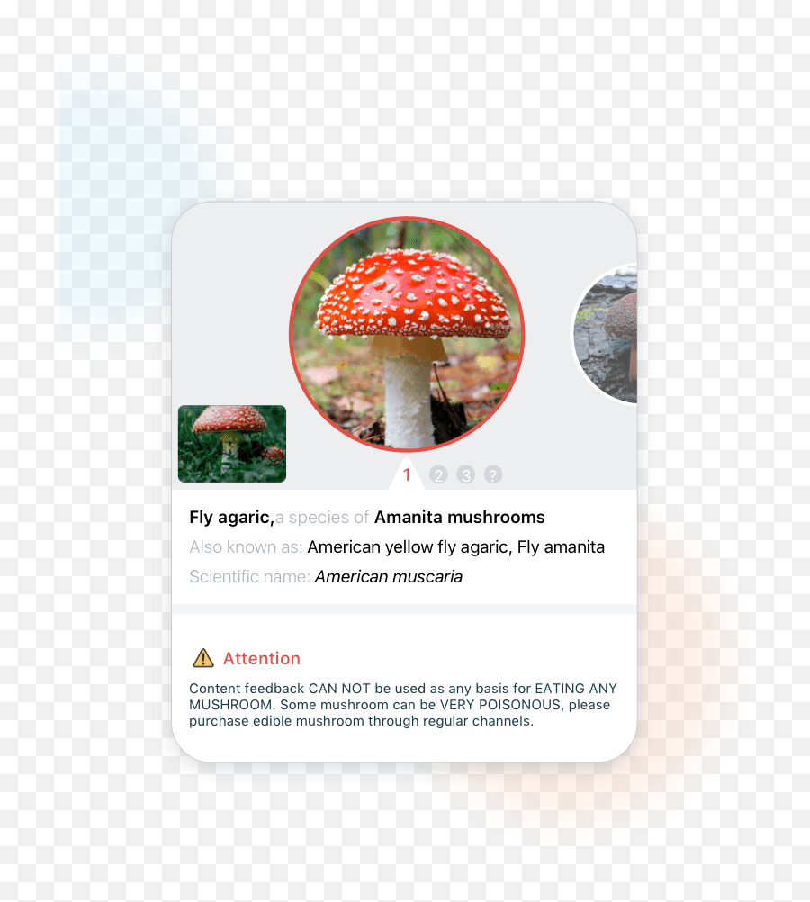 Picture Mushroom - Language Emoji,How To Share Emotions Picyures