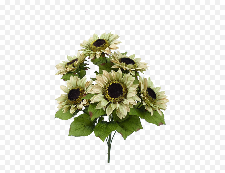 11 Sunflower Bush Blue 4 - Common Sunflower Emoji,Facebook Sunflower Emoticons