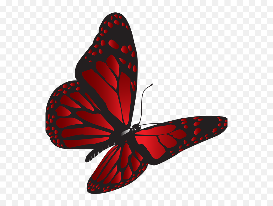 Red Butterfly Png Transparent Png - Free Download On Tpngnet Emoji,Purplebutterfly Emojis