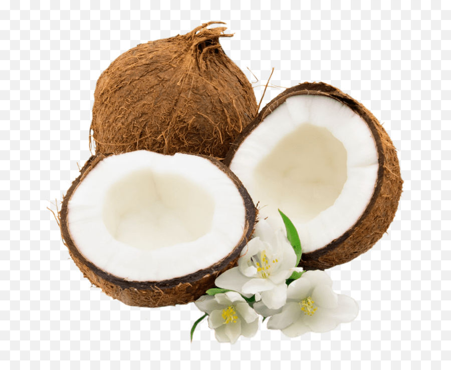 Coco Fruta Png Background Image Png Arts - Transparent Background Coconut Png Emoji,Emojis Frutas