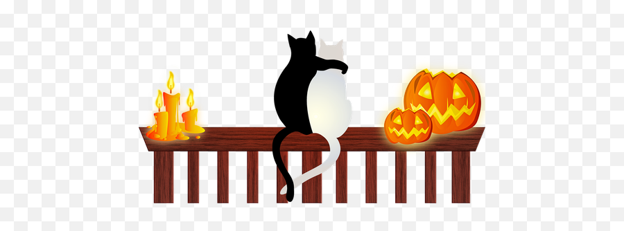 Halloween Cats Halloween Candle Halloween Pumpkin Public Emoji,Emotion Jack-o-lantern Clipart