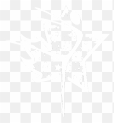 Northern Stars Dance Competition Emoji,Emotion Mia Rodriguez Lu
