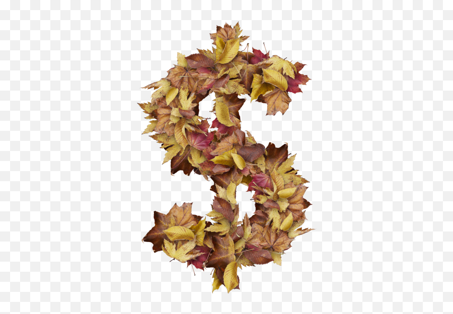 Dollar Symbol With Dry Leaves Png Transparent Image Emoji,Dollar Smiling Emoji
