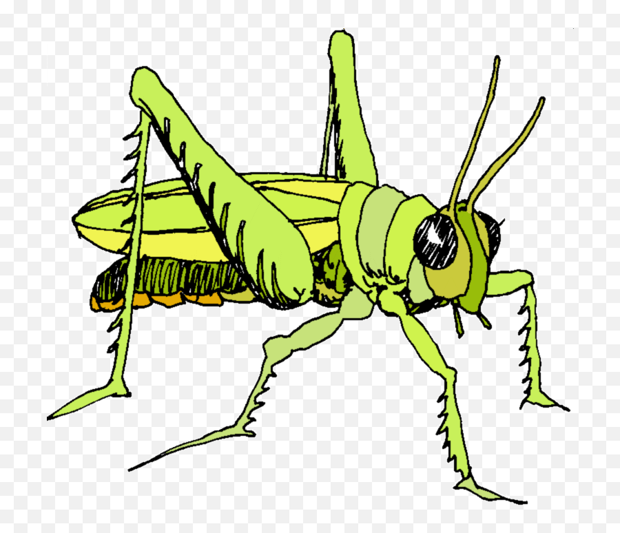Triumphal Entry Into Jerusalem Drawing - Clip Art Library Emoji,Is There A Grasshopper Emoji
