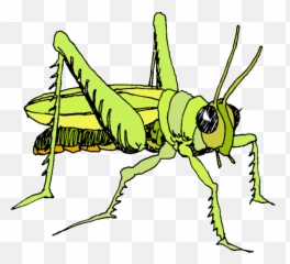 Triumphal Entry Into Jerusalem Drawing - Clip Art Library Emoji,Is There A Grasshopper Emoji