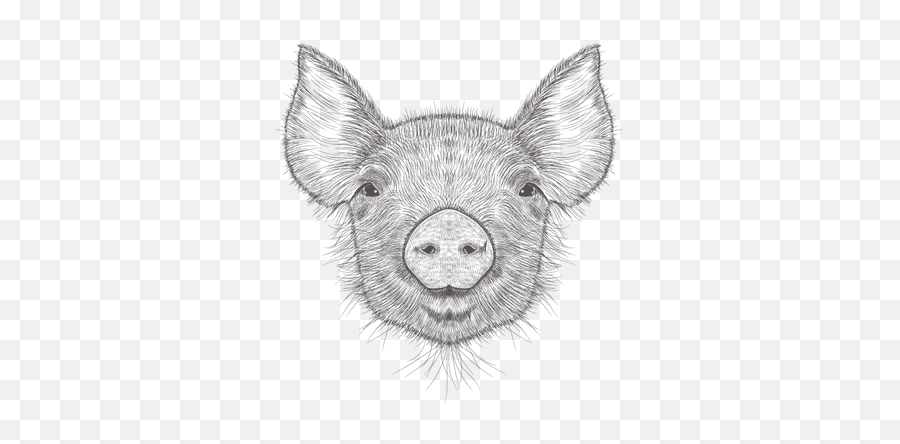 Premium Pig 3d Illustration Download In Png Obj Or Blend Format Emoji,Boar Emoji