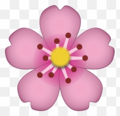 Download Cherry Blossom Emoji Icon - Cherry Blossom Emoji Png,Cherry Emoji