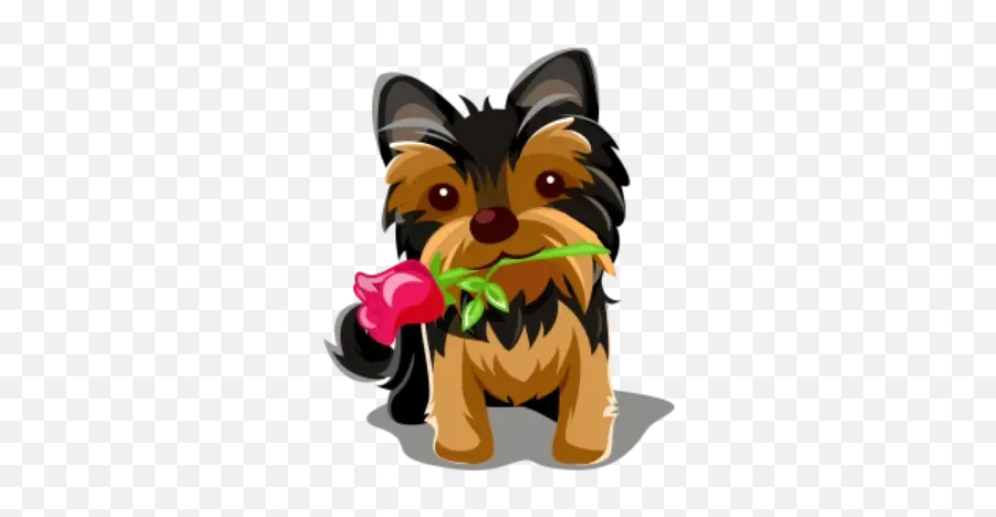 Yorkie Whatsapp Stickers - Dog Supply Emoji,Yorkie Emoticon