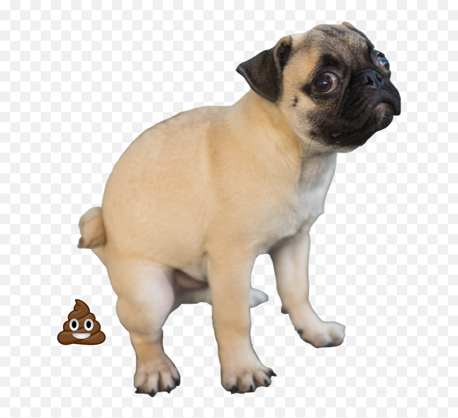 Doogood - Poop Dog Emoji,Earth Emoji