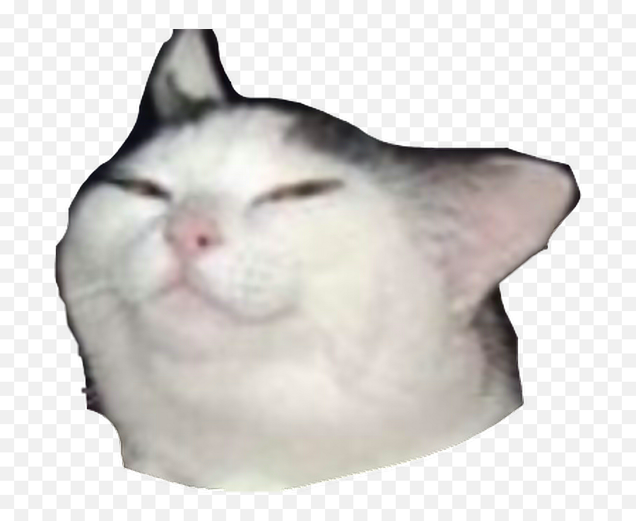 Download Meme Transparent Png - Cat Meme Sticker Png Emoji,Nigel Thornberry Emoji