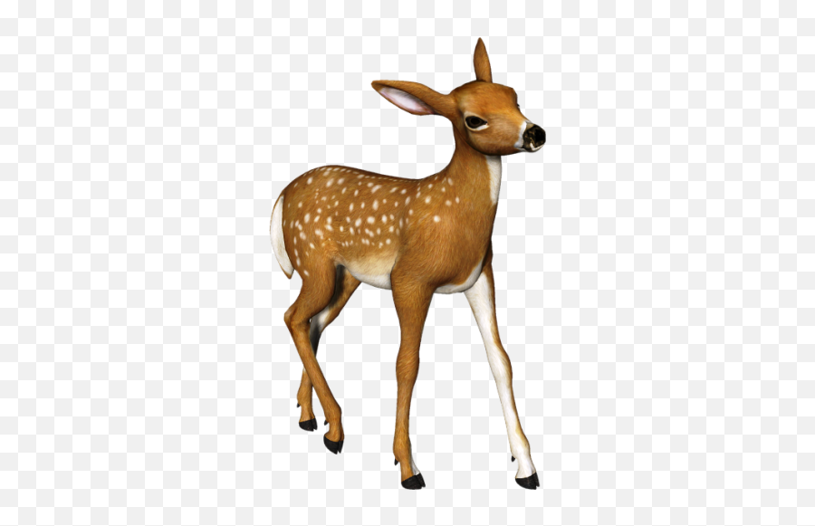Christmas Clipart - Roe Deer Transparent Png Emoji,Buck Deer Emoji