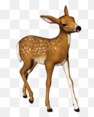 Christmas Clipart - Roe Deer Transparent Png Emoji,Buck Deer Emoji