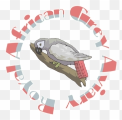 African Grey Parrot Palace - African Grey Clipart Transparent Emoji,African Grey Parrot Reading Emotions