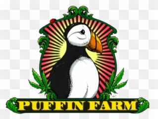 Directory - Organic Cannabis Certification Clean Green Emoji,Puffin Emoticon
