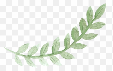Download Sydney Leaves Watercolor Green Pancake Brunch Emoji,Pancake Japanese Emoticon