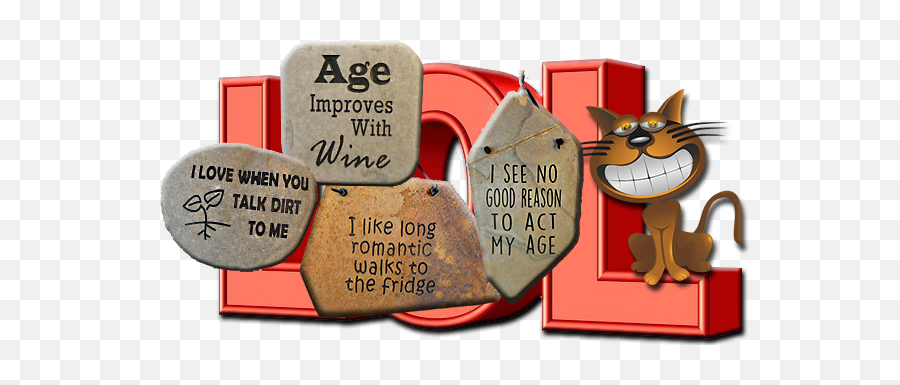 Funny Stone Signs Funny Garden Stone Signs Home U0026 Garden Emoji,Emotion Dog Signsfor Bathroom.