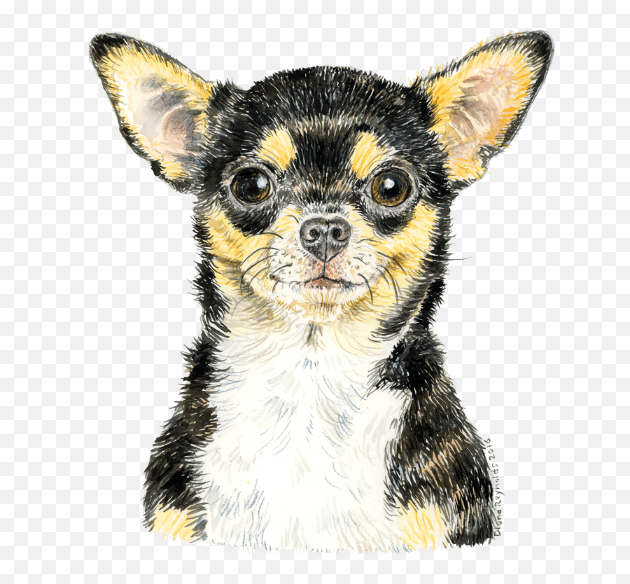 Download Chihuahua - Watercolour1 Chihuahua Png Image With Emoji,Cute Chihuahua Emoticons