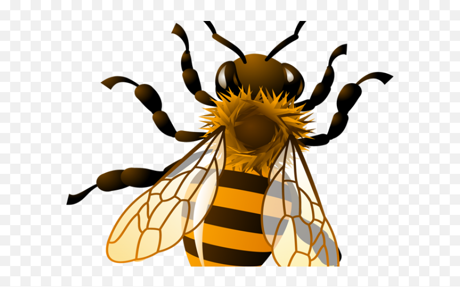Bees Clipart Four - Honey Bee Clip Art Full Size Png Emoji,Wasp Emoji