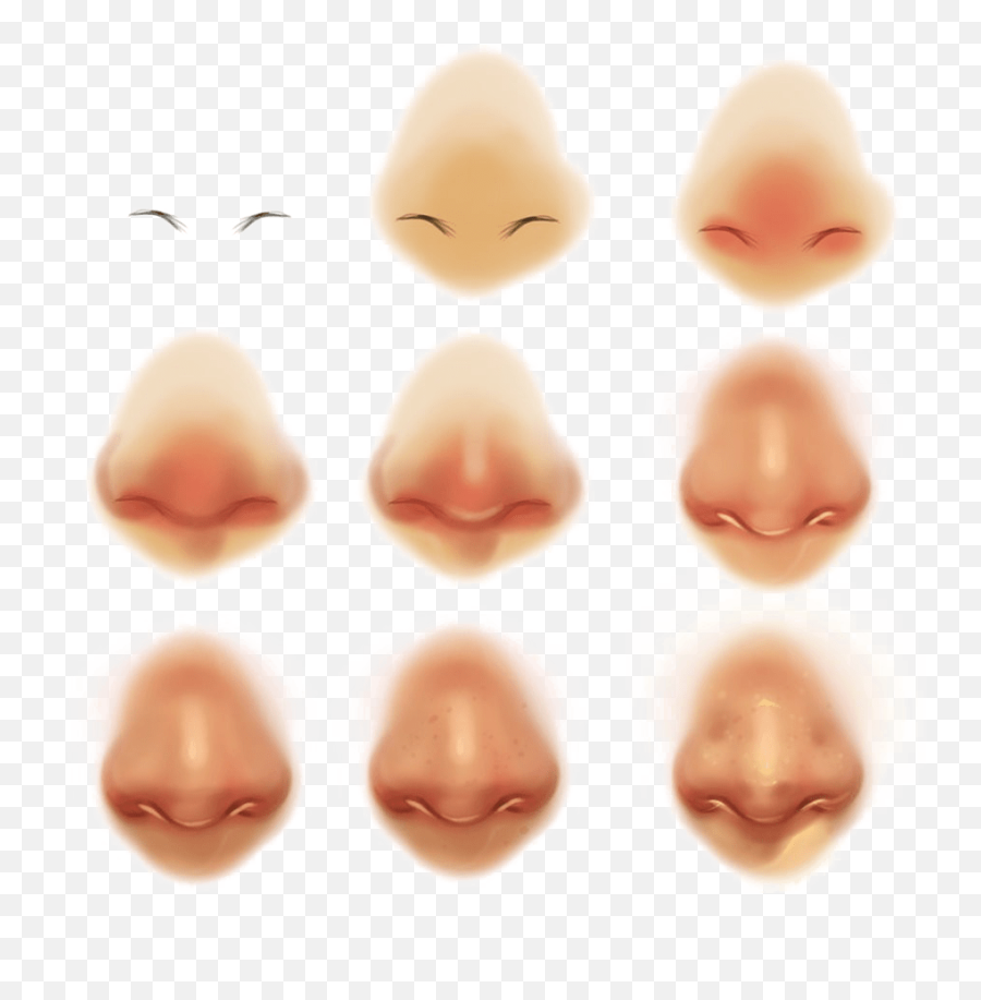 Nose Transparent Arts - Semi Realistic Nose References Digital Art Nose Reference Emoji,Snot Nose Emoji