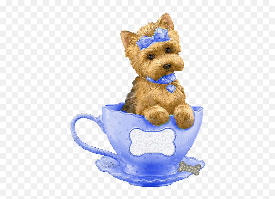 Dog Gifs Funny Animal Pictures Cute Dogs - Serveware Emoji,Yorkie Emoticon