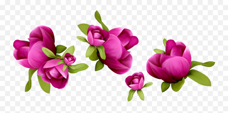 Spring Backgrounds Png Spring Flowers - Spring Flower Vector Png Emoji,Flower Emoji Vector