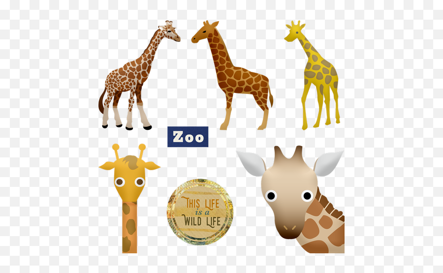 Kawaii Animals Animal Stickers Kawaii Bird Public Domain - Giraffe Animal Clipart Emoji,Giraffe Emoji