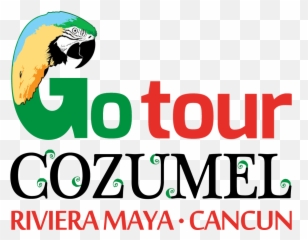 Sea Scooter Snorkel Tour - Agencias De Viajes Cozumel Emoji,Snorkel Emoji