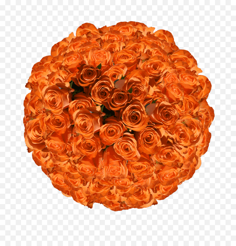 750 Stems Of Solid Orange Color Roses - Garden Roses Emoji,Pull The Blinds On Your Emotions