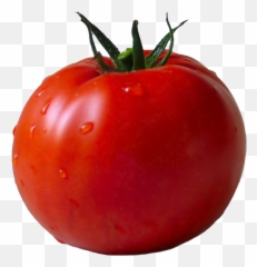 Tomato Png Pic Png Arts - Tomato Transparent Png Emoji,Tomato Can Emoji
