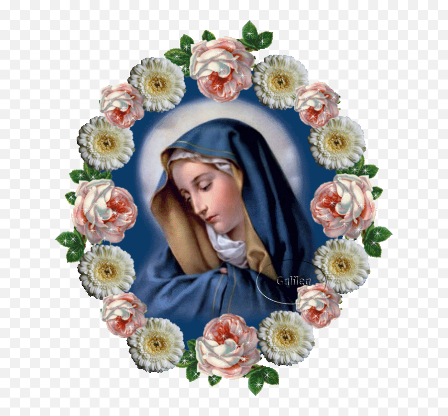 Icyte - Saved Page Gesù Allu0027umanità Ricettario Di Blue Mother Mary Gif Emoji,Emoticon Preghiera