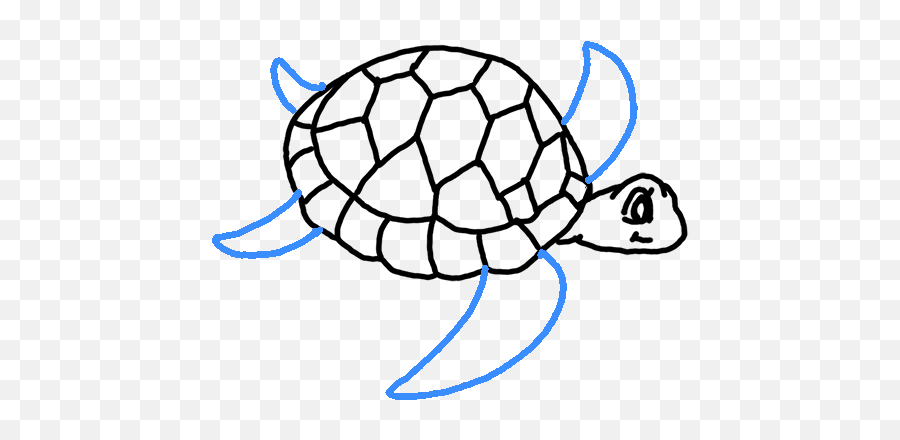 How To Draw A Sea Turtle Emoji,Sea Turtle Emoticon