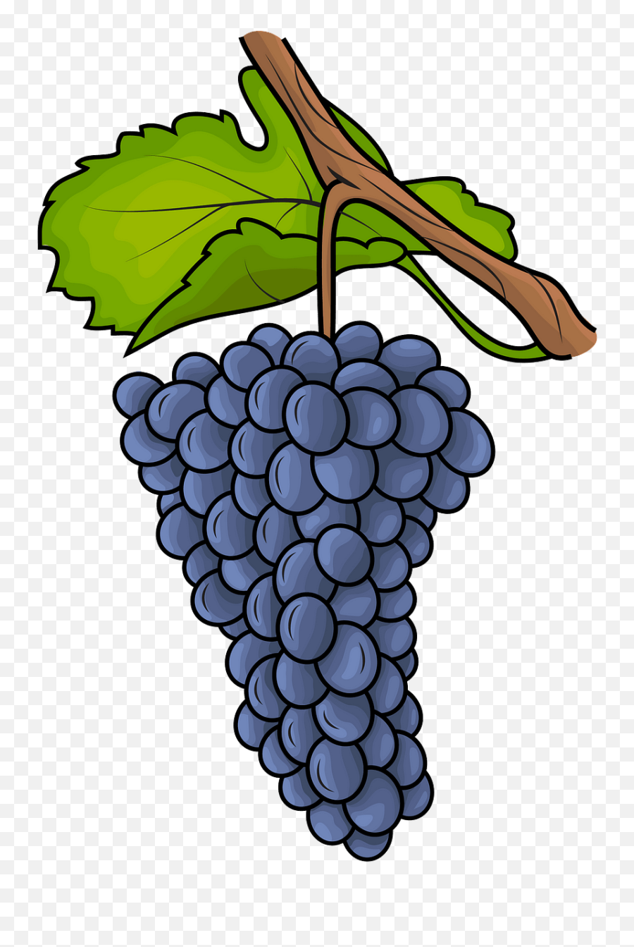 Les Raisins Image Clipart - Grape Emoji,Raisin Emoji