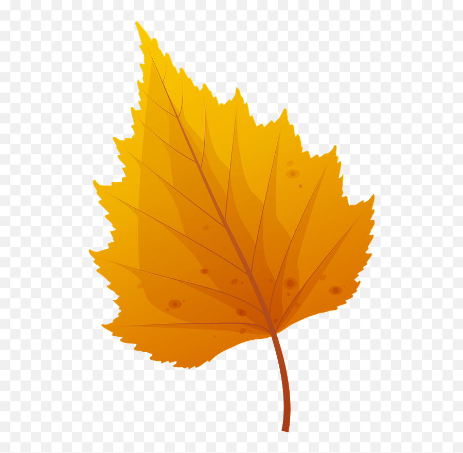 Silver Birch Late Autumn Leaf Clipart Emoji,Autumn Leaf Emoticon