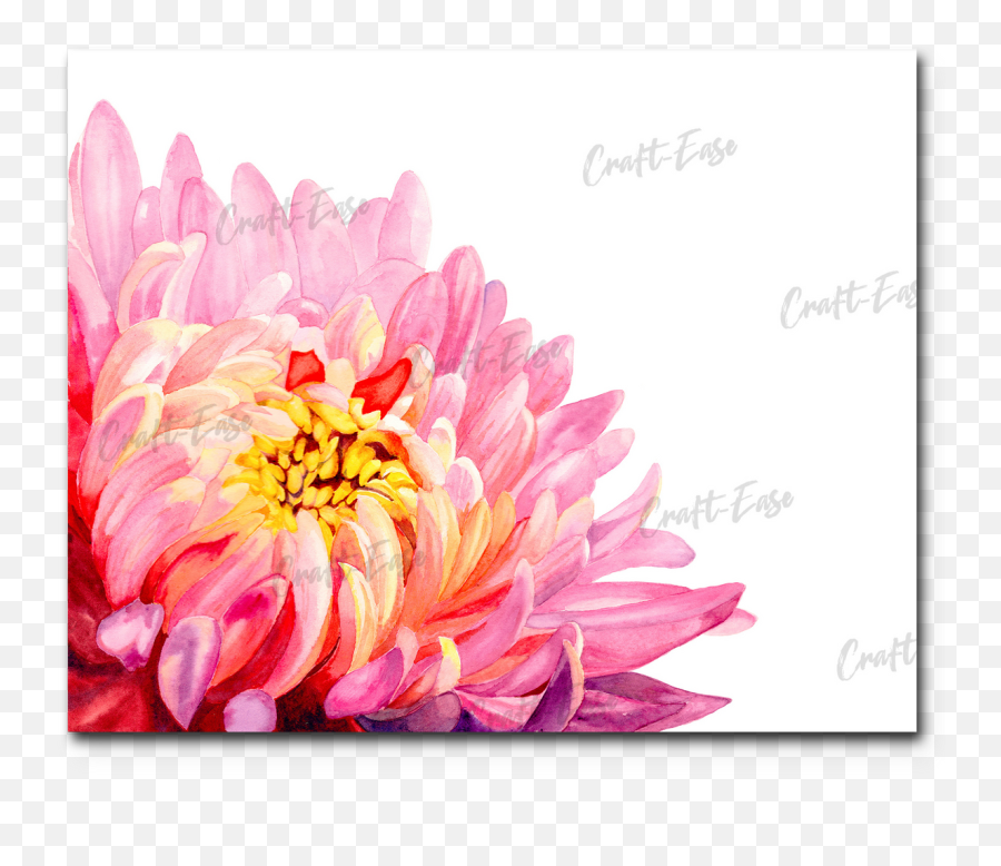 Chrysanthemum Bloom Emoji,