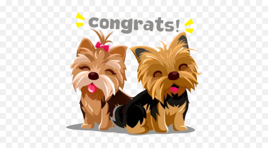 Yorkie Whatsapp Stickers - Vulnerable Native Breeds Emoji,Yorkie Emoticon