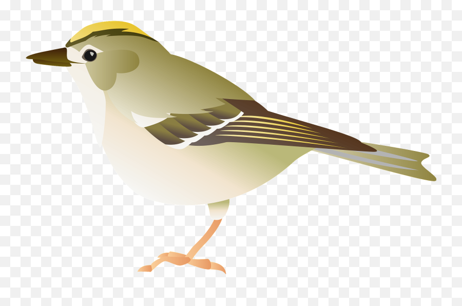 Goldcrest Bird Clipart - Goldcrest Clipart Emoji,Sparrow Emoji