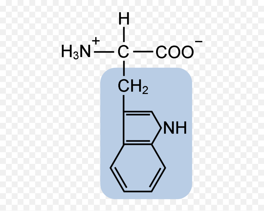 Functional Group Is In Tryptophan Emoji,Silla Ligera Emotion