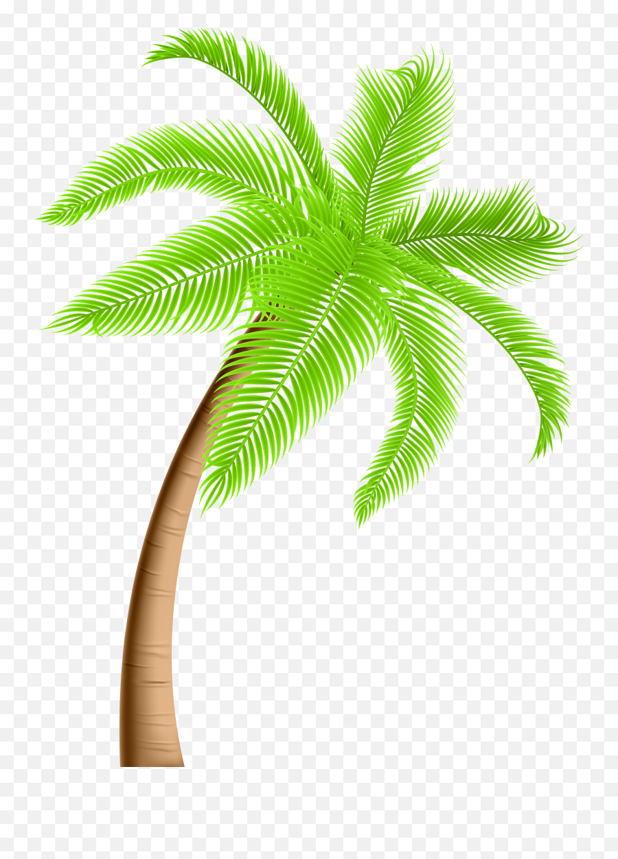 Palm Tree Clip Art - Clipart Transparent Background Palm Tree Png Emoji,Palm Tree Emoji Iphone