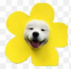Figurinhas Safadas 18 - Mayapolarbear Flower Emoji,Emoticons Que Mexem