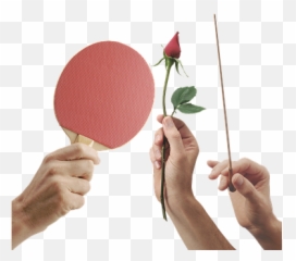 Table Tennis Ping Pong Photos - Racketlon Emoji,Table Tennis Emotions