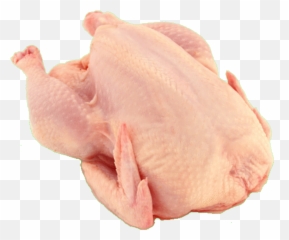 Poultry Chicken Sticker By G - Carne De Pollo Png Emoji,Chicken Leg Emoji