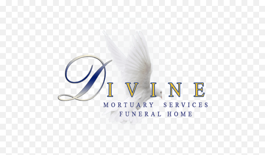 Divine Mortuary Funeral Home - Language Emoji,You Ever About Your Emotions Vine