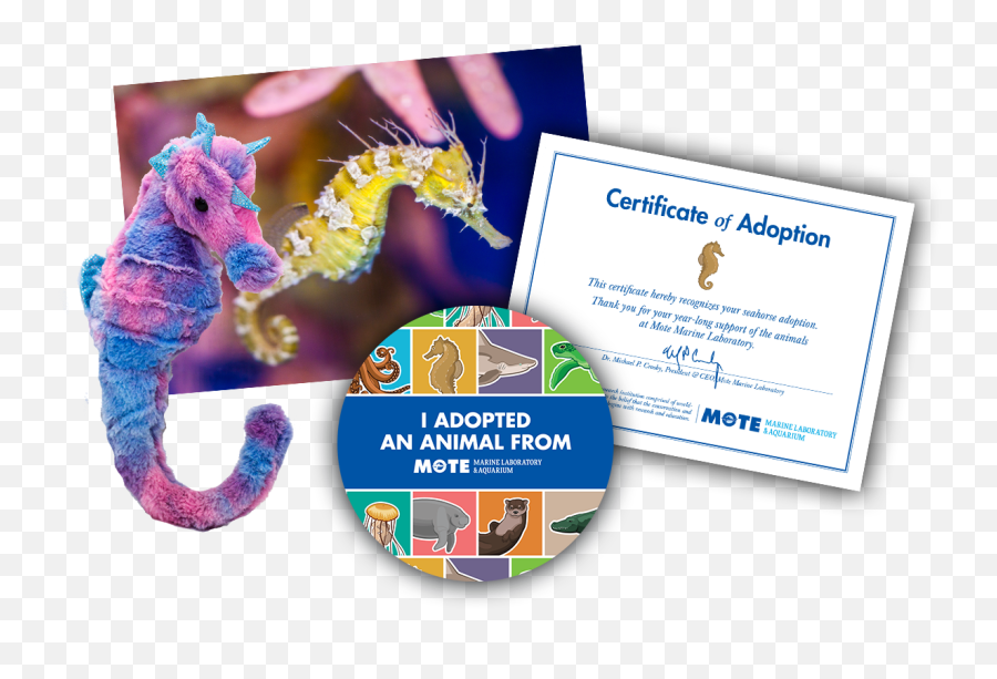 Adopt A Seahorse - Aquarium Of The Pacific Adoption Certificate Emoji,Facebook Emoticons Seahorse