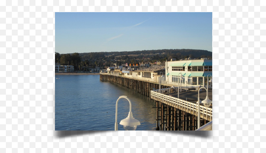 Brattononlinecom The Latest Incarnation Of Bruce - Santa Cruz Wharf Emoji,Medgar Evers 