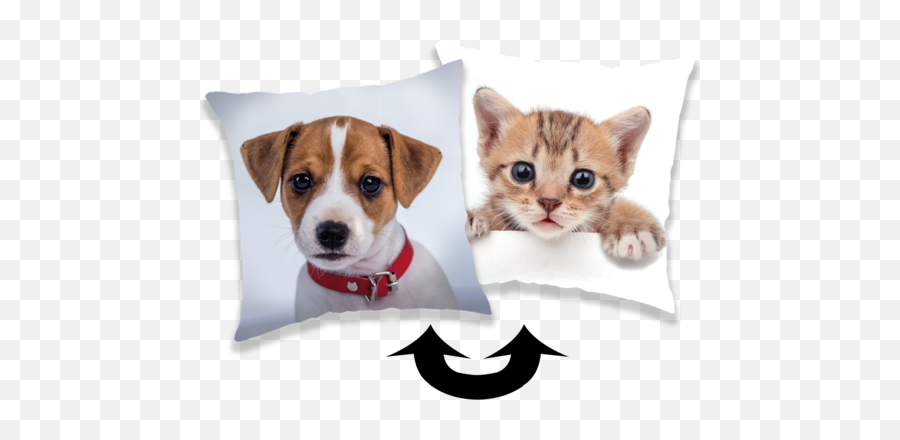 Cushions Jerry Fabrics - Poszewki Dekoracyjne Kotek Emoji,Dog Emoji Pillows
