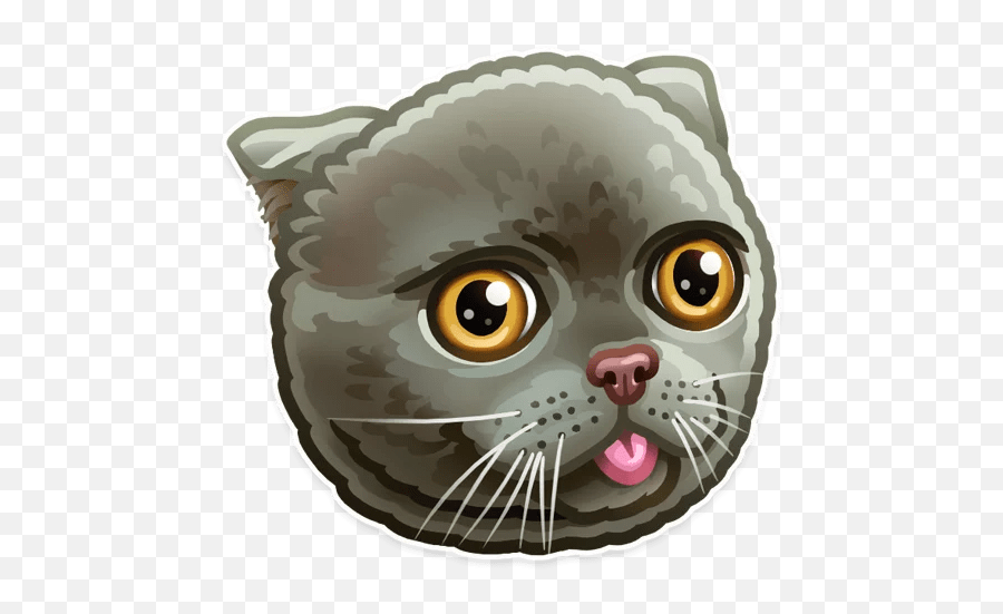 Cat Telegram Stickers Sticker Search Emoji,Cat Shocked Emoji