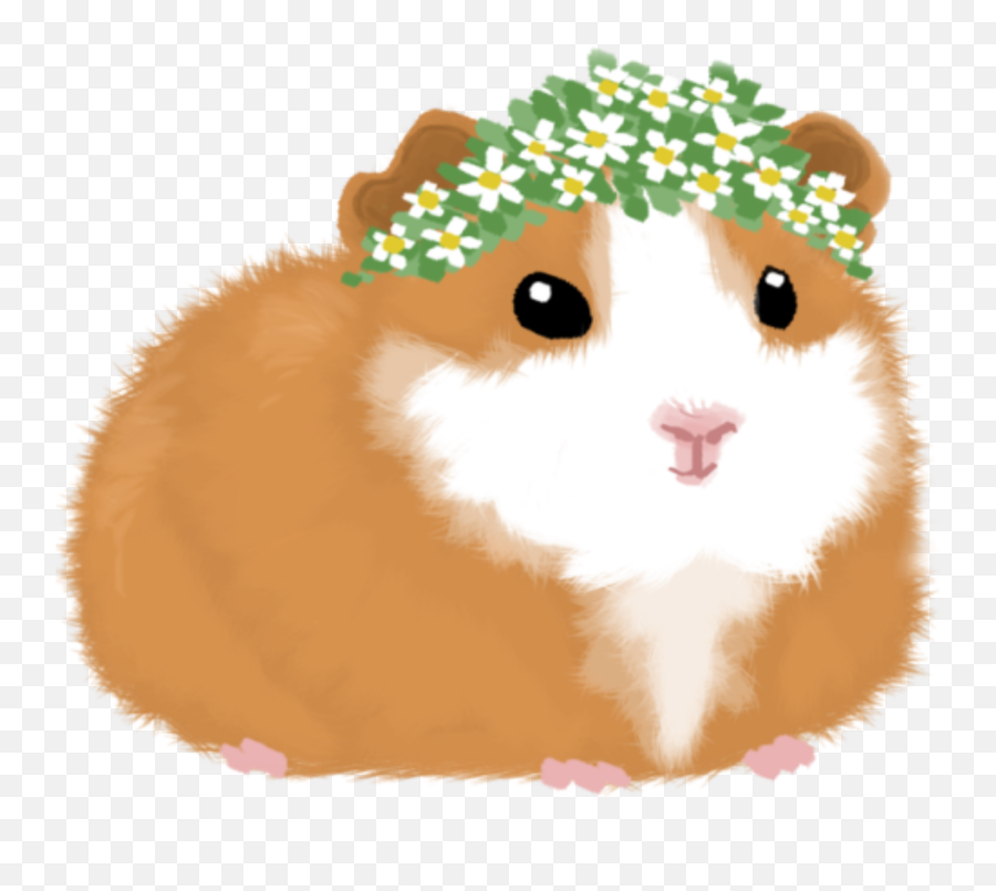 Hamster Guinea Pig Drawing Pencil - Drawing Cute Animals Guinea Pig Emoji,Guinea Pig Emoji